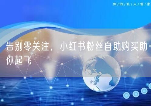 告别零关注，小红书粉丝自助购买助你起飞