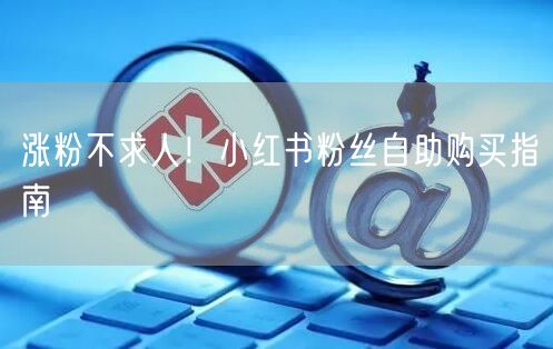 涨粉不求人！小红书粉丝自助购买指南