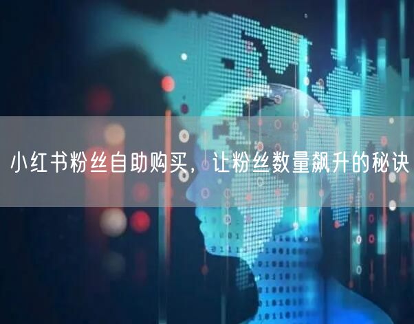 小红书粉丝自助购买，让粉丝数量飙升的秘诀