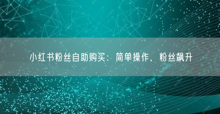 小红书粉丝自助购买：简单操作，粉丝飙升
