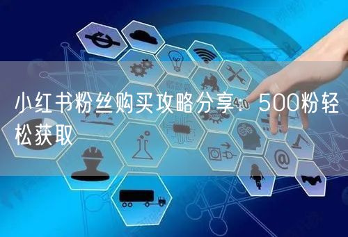 小红书粉丝购买攻略分享：500粉轻松获取