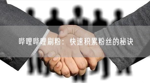 哔哩哔哩刷粉：快速积累粉丝的秘诀