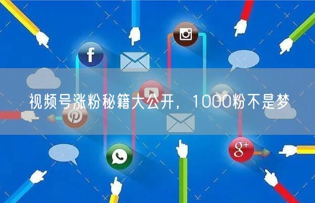 视频号涨粉秘籍大公开，1000粉不是梦