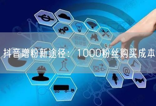 抖音增粉新途径：1000粉丝购买成本