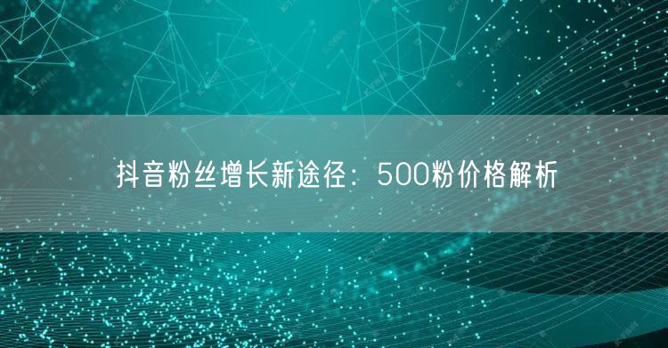 抖音粉丝增长新途径：500粉价格解析