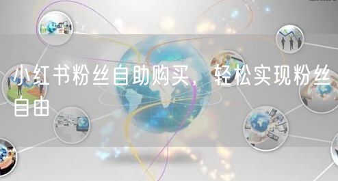 小红书粉丝自助购买，轻松实现粉丝自由